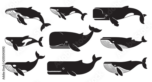 Bild auf Leinwand Set of diverse whale silhouettes including humpback orca sperm and blue whales