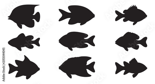 Bild auf Leinwand Diverse tropical fish silhouettes set featuring various species for aquatic nature designs