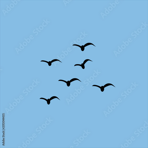 Photography Simple birds flying illustration vector.blue sky background