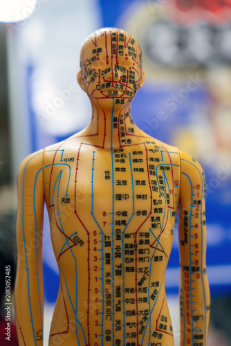 Konstfotografi Traditional Chinese Medicine Acupuncture Point Model of Human Body