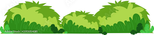 Fotografia Soft Bushy Hedge Border With Rounded Greenery