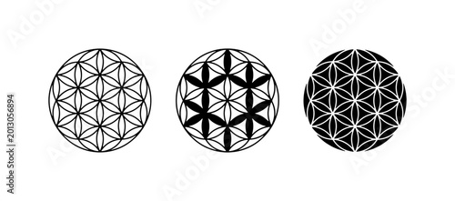 Sacred Geometry Flower of Life Vector Icons, Geometric Patterns, Spiritual Symbols, Metaphysical Designs, Cosmic Art, Mystical Graphics