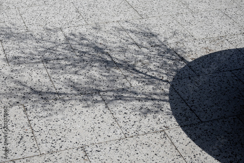 Εκτύπωση καμβά Shadows of bare branches and outdoor planter on light speckled paving stones, ou