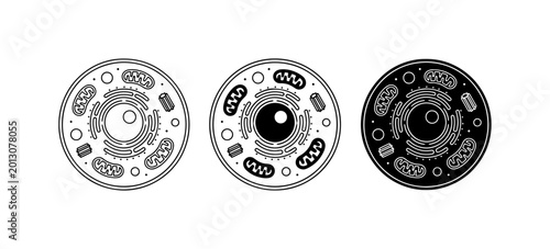 Foto Animal Cell Diagrams, Biological Science Icons, Microscopic Organelles, Vector I