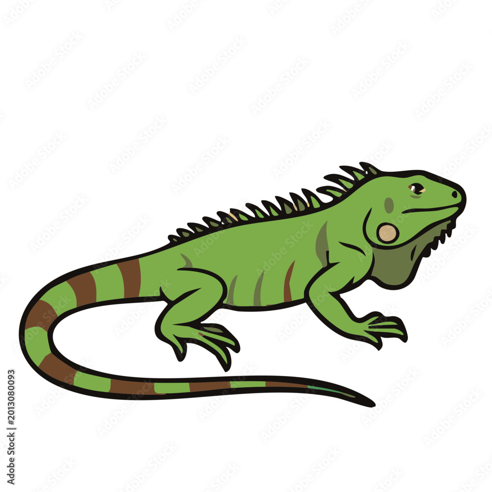 Fototapeta premium Green iguana walking on white background illustration
