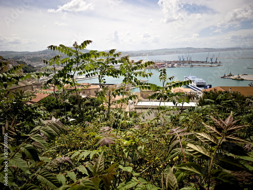 Foto Scorcio panoramico dal Parco del Cardeto sulla rigogliosa vegetazione del colle