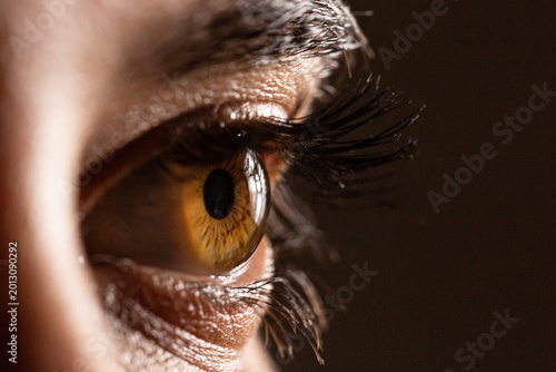 Human eye observing details with close-up macro vision