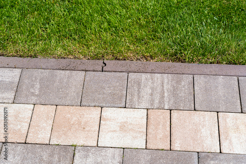 Foto Close-up view of textured concrete pavers contrasting with lush green grass, ill