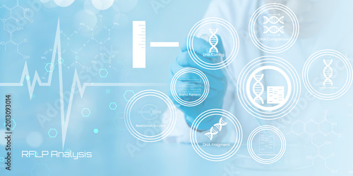 Photography Modern scientific illustration depicting RFLP analysis process with DNA sequenci