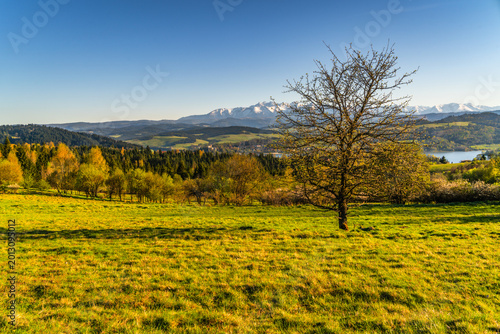 Scenic view of Czorsztyn Lake with snow-capped mountains and lush green meadows