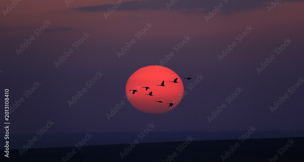 Naklejka premium Minimal Red Sun Over Horizon at Dusk