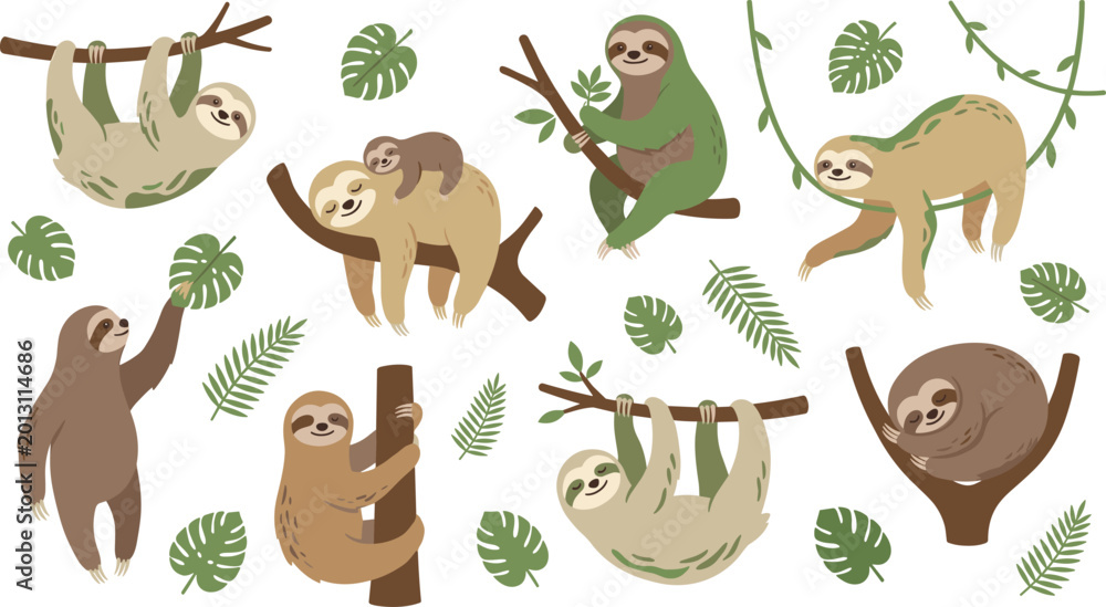 Obraz premium Cute Sloth Cartoon Character Collection with Tropical Jungle Leaves and Adorable Wildlife Animal Poses for Kids Nursery and Educational Designs