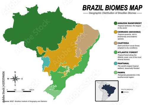 Brazil Biomes Map Vector – Geographic Distribution of Brazilian Ecosystems