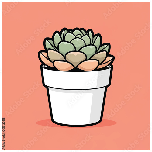 Succulent Plant in White Pot.