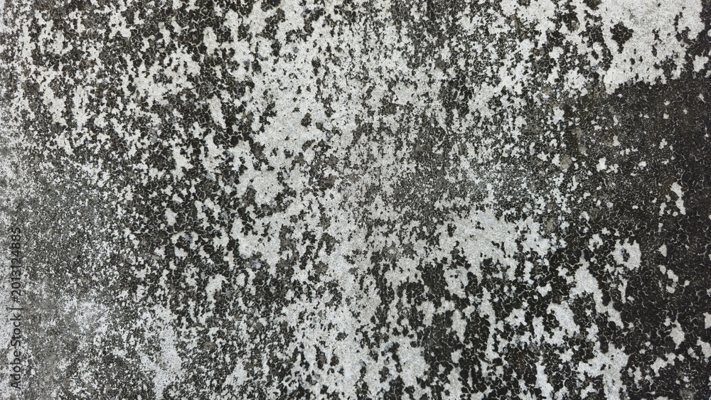 Obraz premium Old concrete wall texture with black mold and moss stains. Weathered cement surface with heavy dark mold and moss patterns. Close-up of an aged industrial wall showing natural decay.