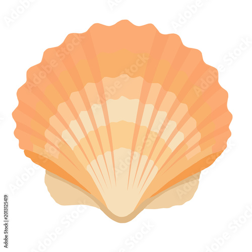 Obraz na plátně orange scallop shell illustration
