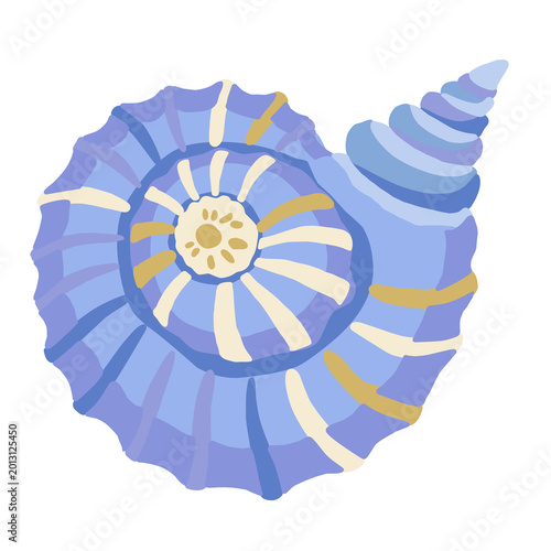 Cuadro en lienzo blue spiral sea shell illustration