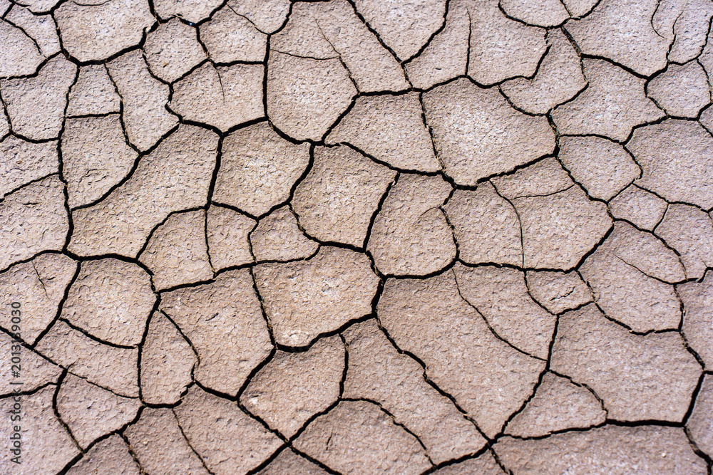Wall Mural Dry Cracked Earth Texture and Parched Mud Soil Surface Background