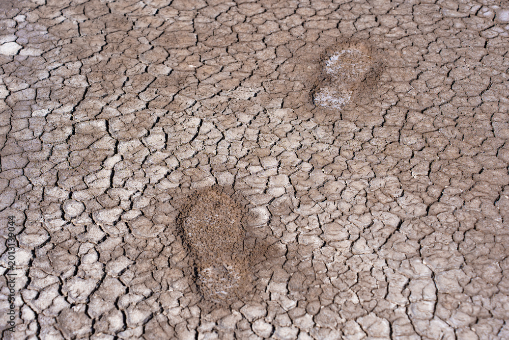 Ταπετσαρία Footprints on Cracked Dry Earth Texture During Severe Summer Drought