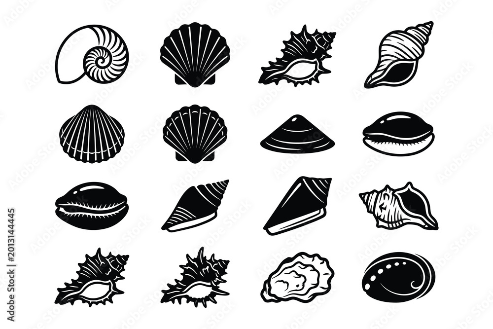 Obraz premium Black and white seashell collection graphic design elements