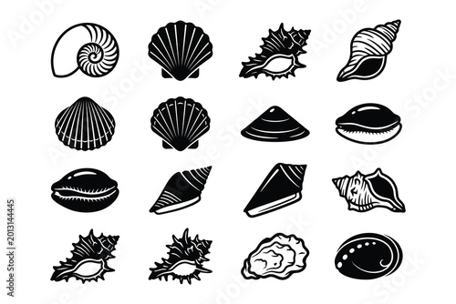 Black and white seashell collection graphic design elements