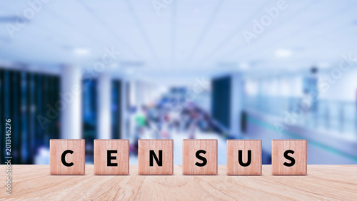 Photos Census words from wooden blocks with letters