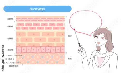 肌の断面図を解説する美容専門家の女性・スキンケアと皮膚構造の図解イラスト