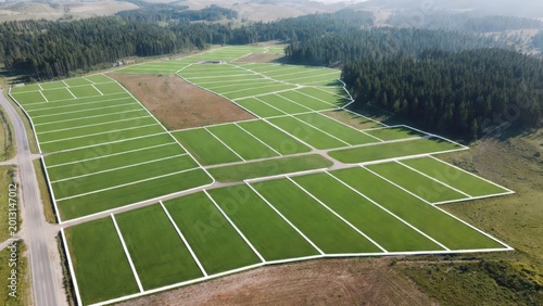 Aerial drone view of a land subdivision with marked plots, serving as a visual concept for real estate development, property sales, and investment opportunities.