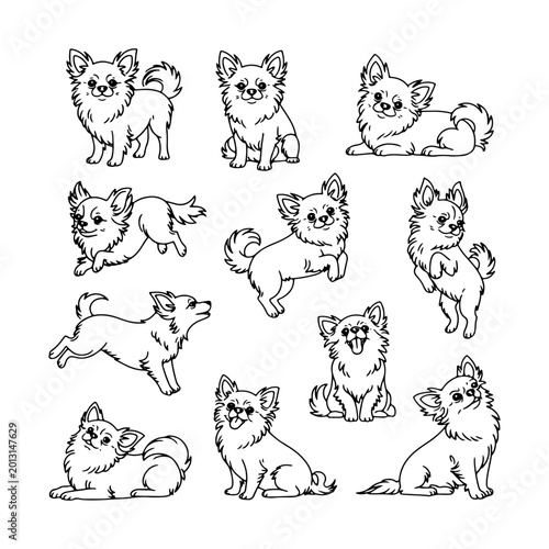 Various cute chihuahua illustrations showcasing playful poses and expressions in a simple style