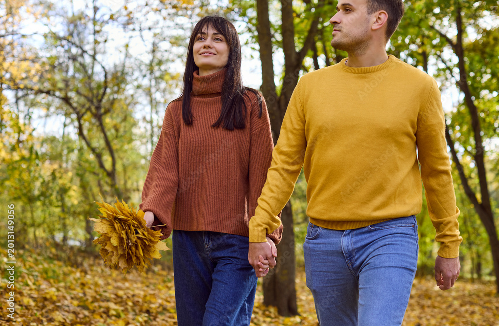 Fototapeta premium Couple walking together in autumn park, sharing love. They stroll a path of fallen leaves, sharing happiness, romance, and a caring relationship. Symbol of romance and seasonal happiness.