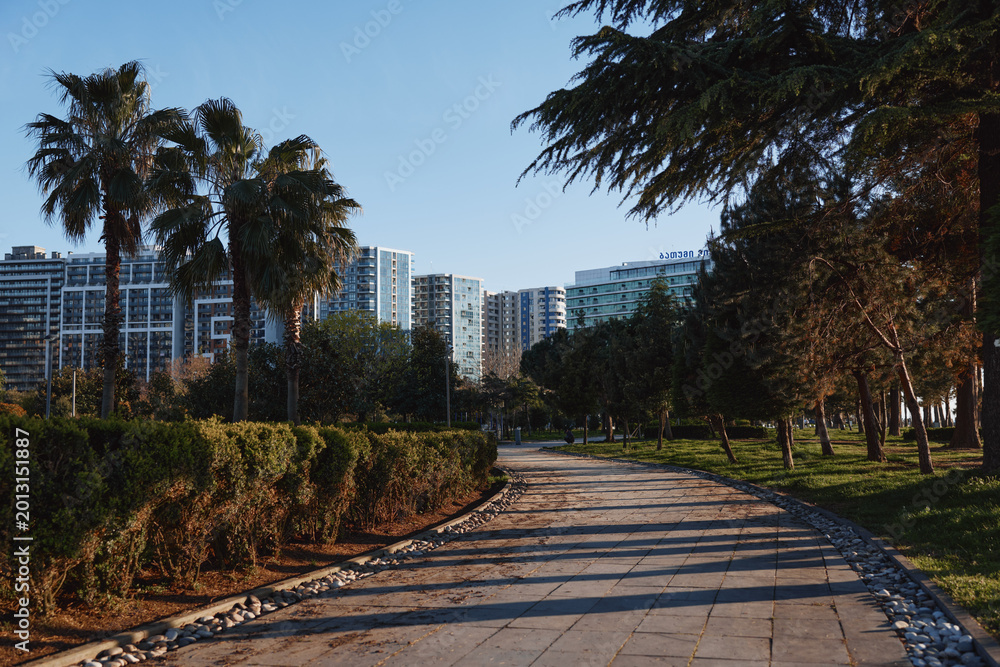 Obraz premium Park pathway with palm trees and modern apartment buildings in the background, sunlit outdoor scene, calm walkway, natural colors, lush greenery, urban calm
