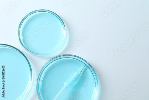 Tableau sur toile Glass pipette and petri dish with blue liquid on white background, closeup