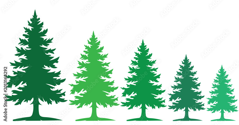 Obraz premium Gradient pine tree silhouettes