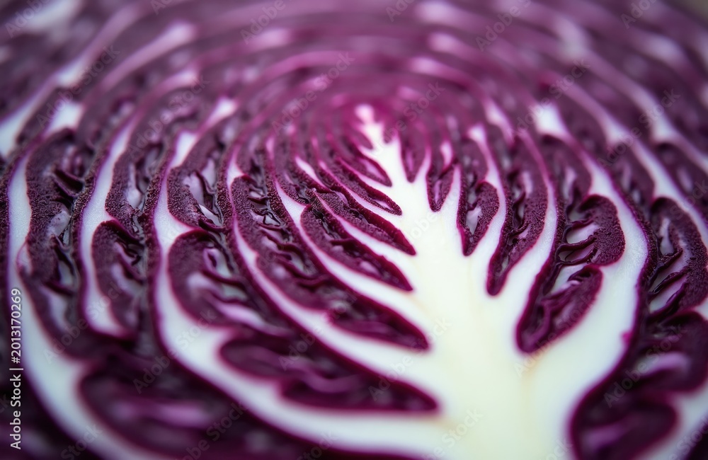 Obraz premium Close up abstract macro shot of red cabbage slices showing detailed purple veins and white core. Vibrant colors and organic texture are visible.