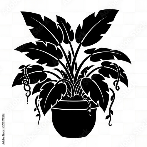 plant in pot