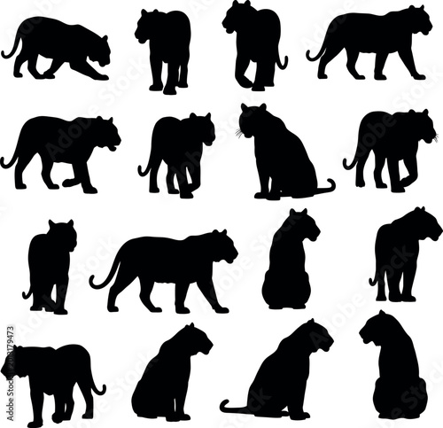 Set of sixteen black tiger silhouettes in various poses with white background