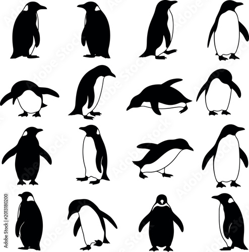 Penguin silhouettes set in different poses - aquatic birds vector collection