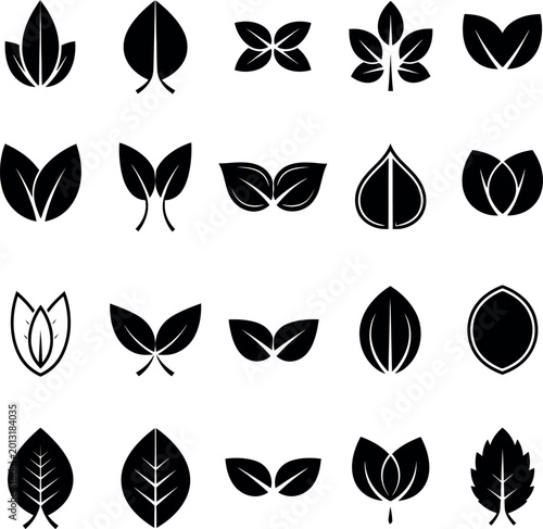 Leaf icons: various styles and shapes for nature and eco design with botanical