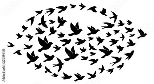 Obraz na płótnie Creative wild bird flock silhouette vector with modern flying birds illustration