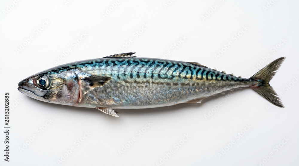 Naklejka premium Fresh mackerel fish with distinctive wavy lines on a clean white background