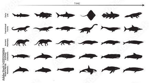 Schilderij op canvas Marine Evolution Timeline Silhouettes Set Pack, Editable Vector Stroke Illustrations