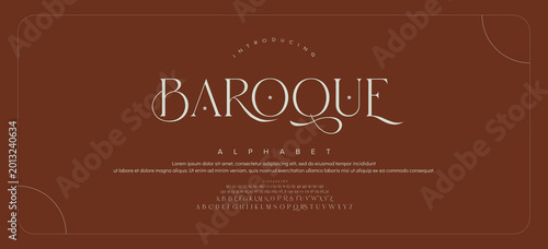 BAROQUE Luxury wedding alphabet letters font with tails. Typography elegant classic serif fonts and number decorative vintage retro concept for logo branding. vector illustration