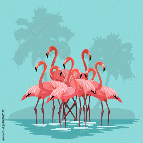 A flock of pink flamingos in the water.Color vector illustration of a flock of pink flamingos in water on a blue background with palm trees silhouette.