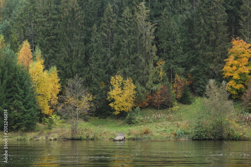 autumn in the park