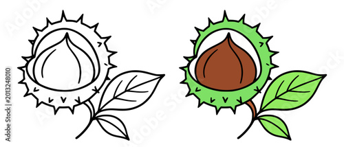 Fotografie Chestnut illustration, line art and colored icon, for coloring page