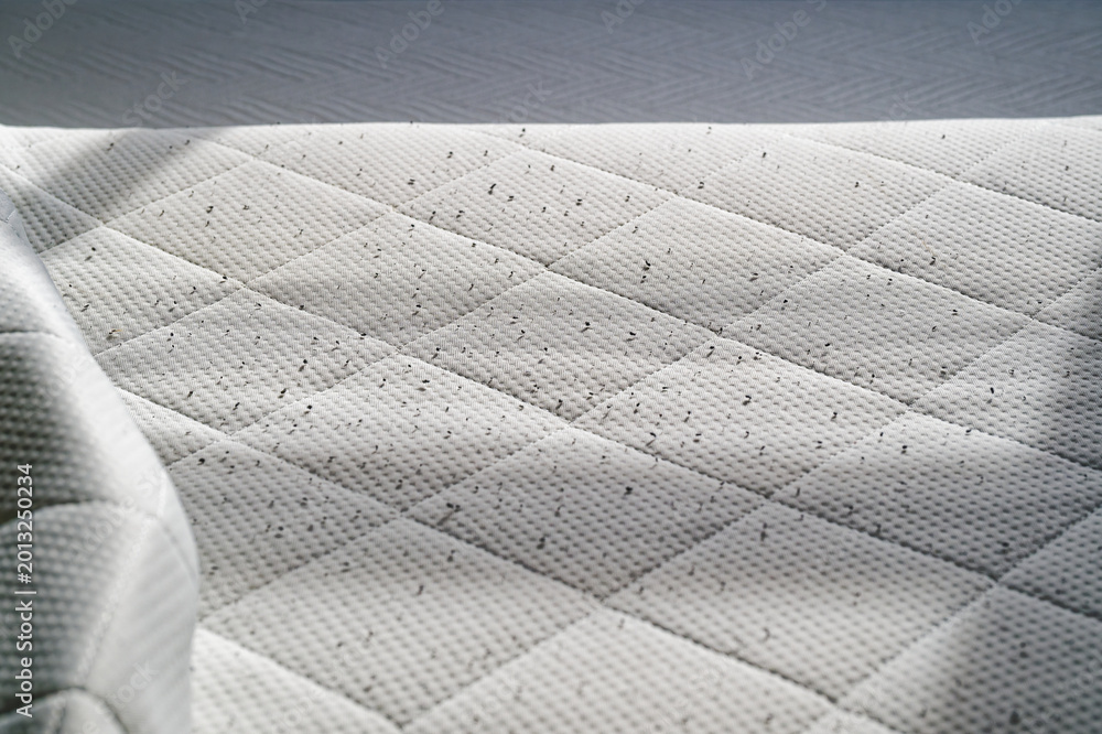 Fototapeta premium White quilted mattress surface with small dark specks and textured fabric pattern