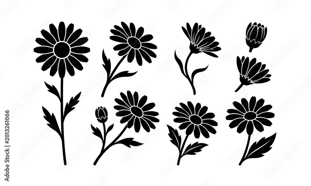 Obraz premium Minimalist daisy silhouette vector set with floral botanical icon collection