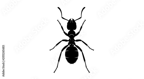 Fényképezés Black ant silhouette, insect icon, vector illustration, pest control symbol