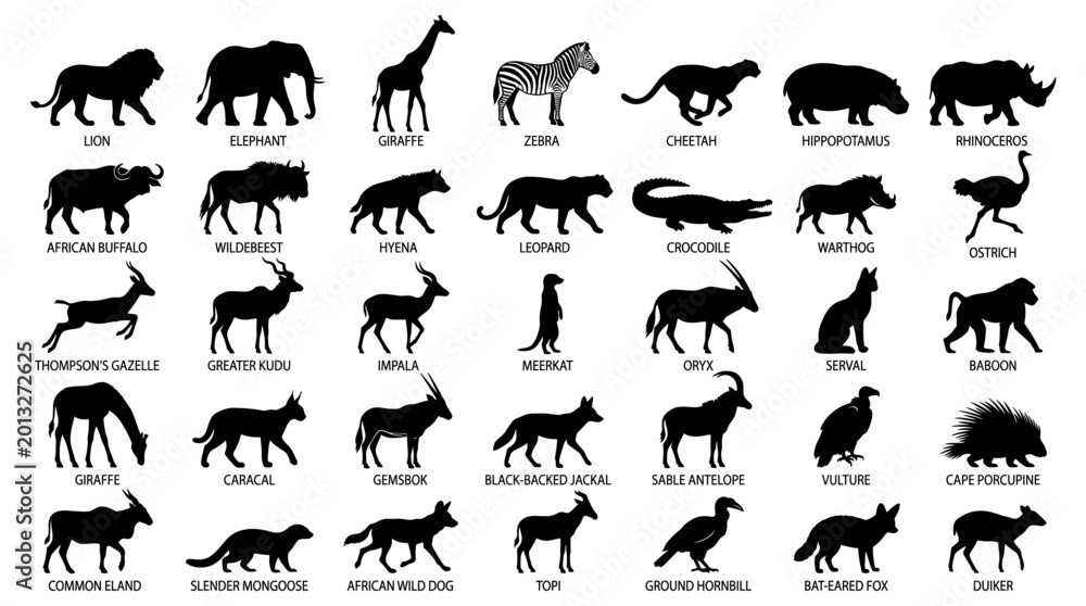Fototapeta premium Many different wild african animal silhouettes are organized in a grid pattern to represent diverse fauna for educational design projects