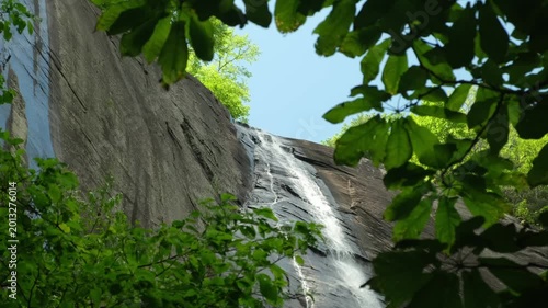 view of the waterfall through tree branches